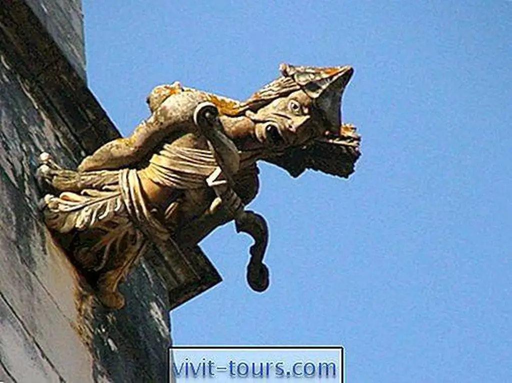 Image Image