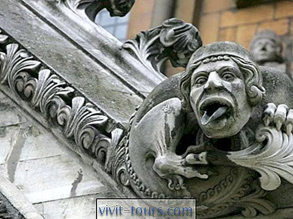 Image Image