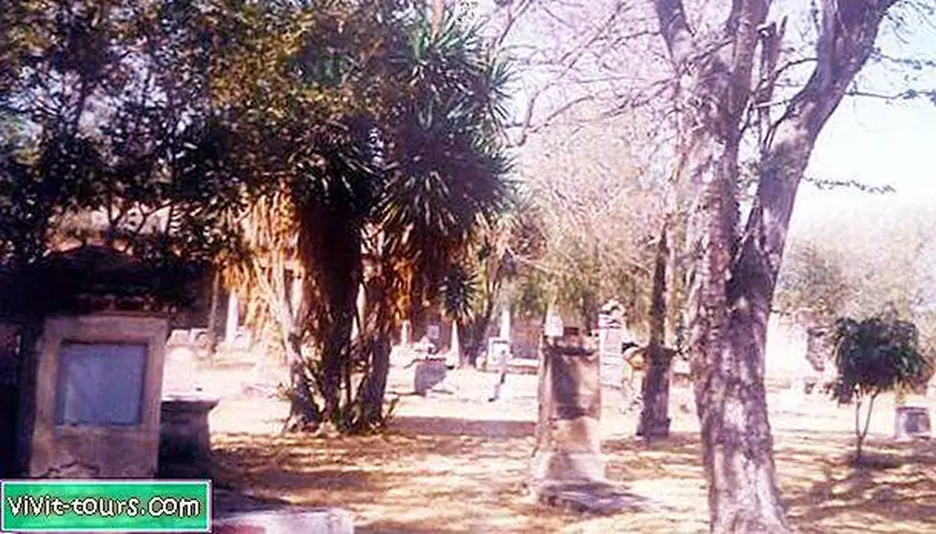 Image Image
