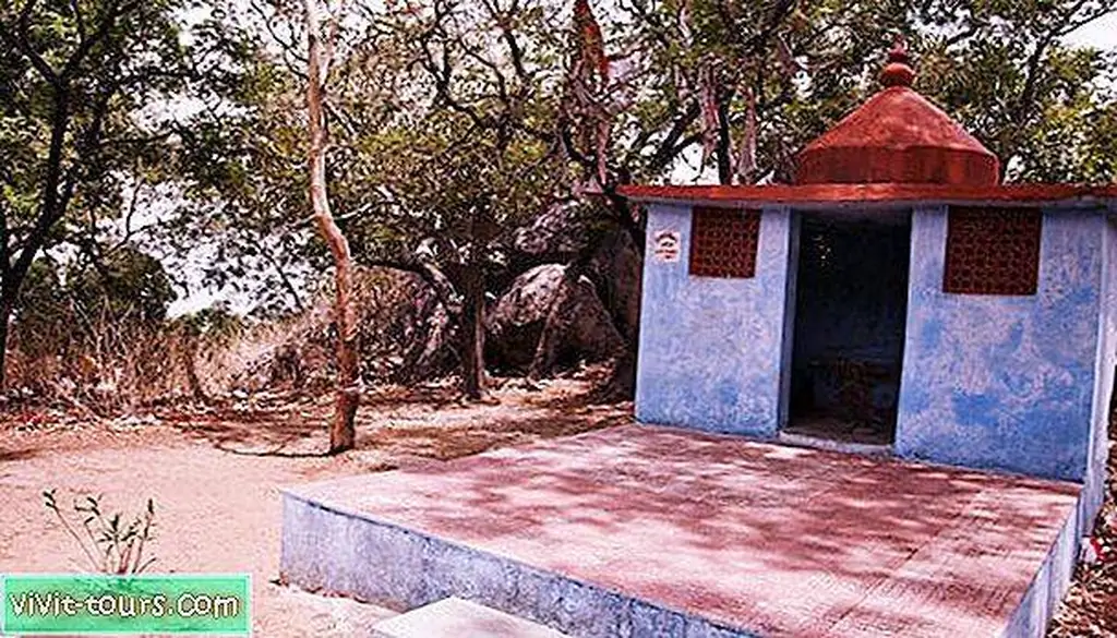 Image Image