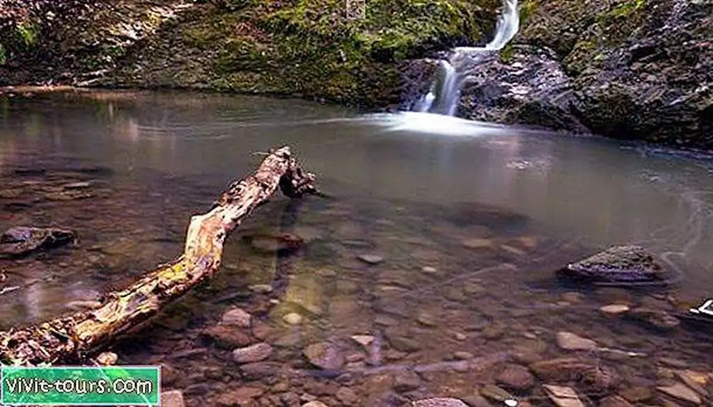 Image Image