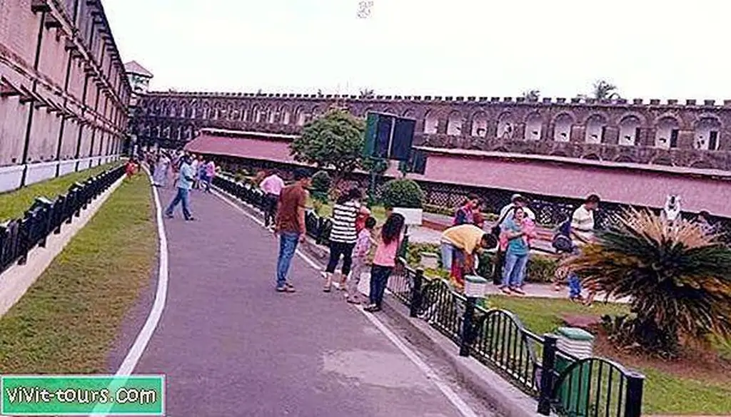Image Image