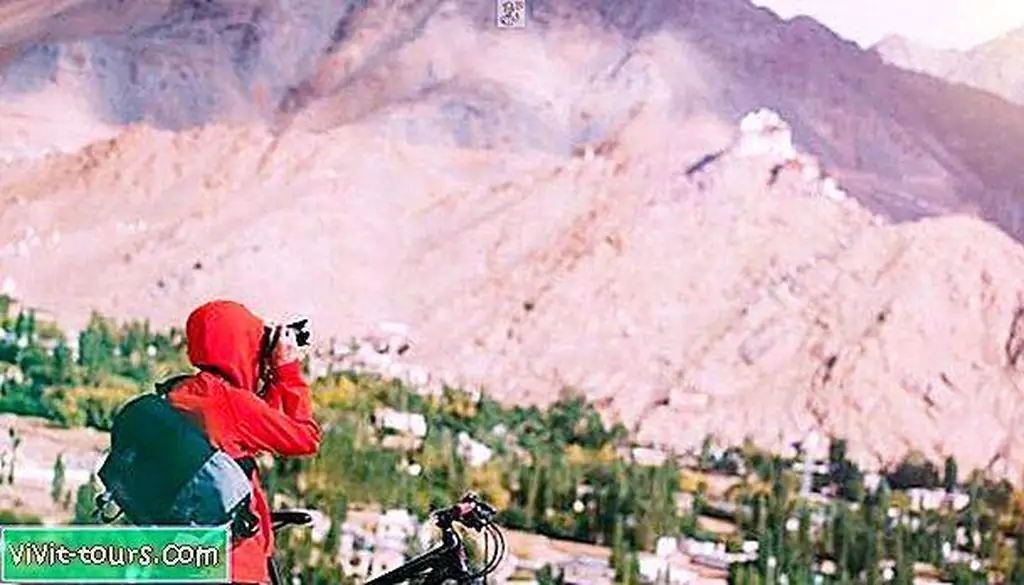 Image Image