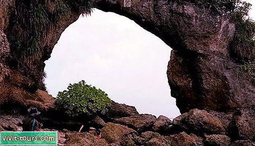 Image Image