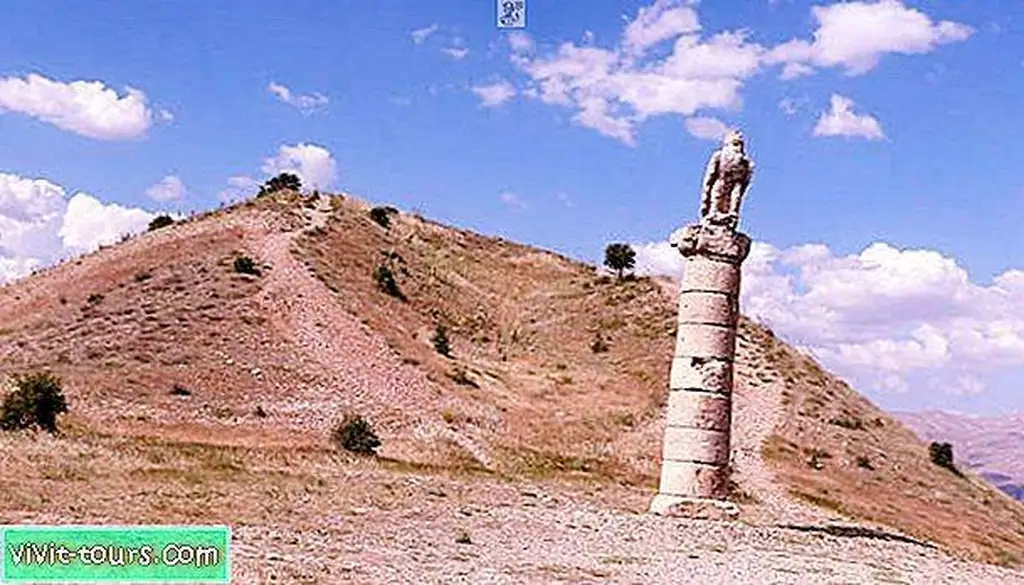 Image Image