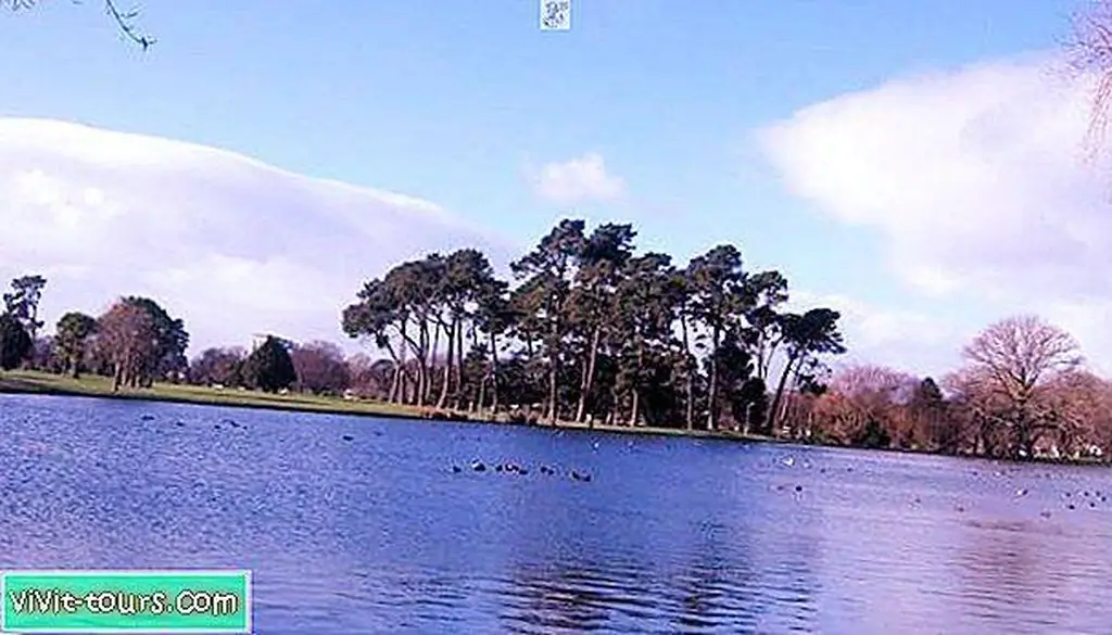 Image Image