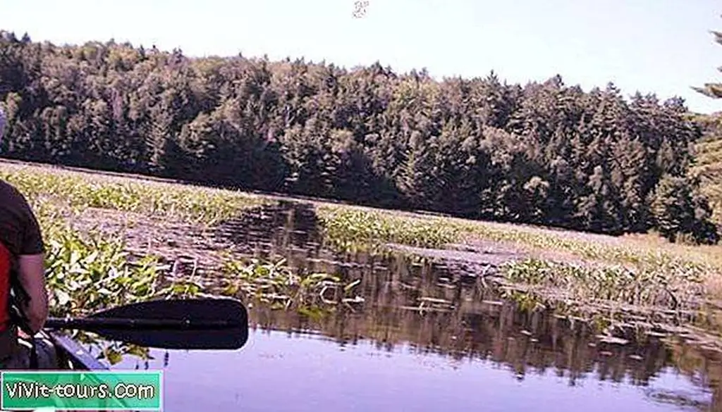 Image Image