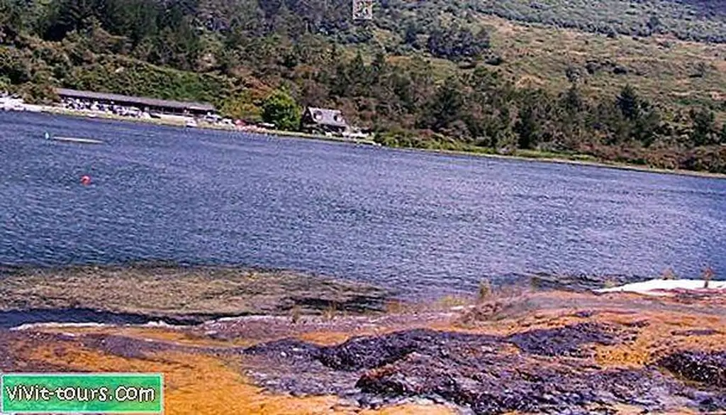 Image Image
