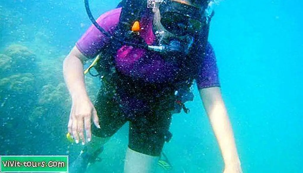 Image Image