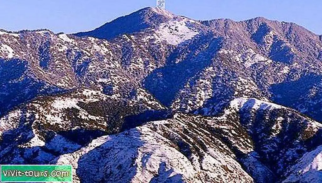 Image Image
