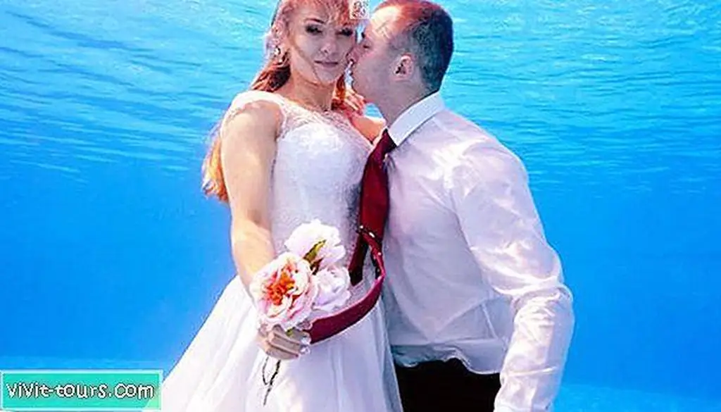 Image Image