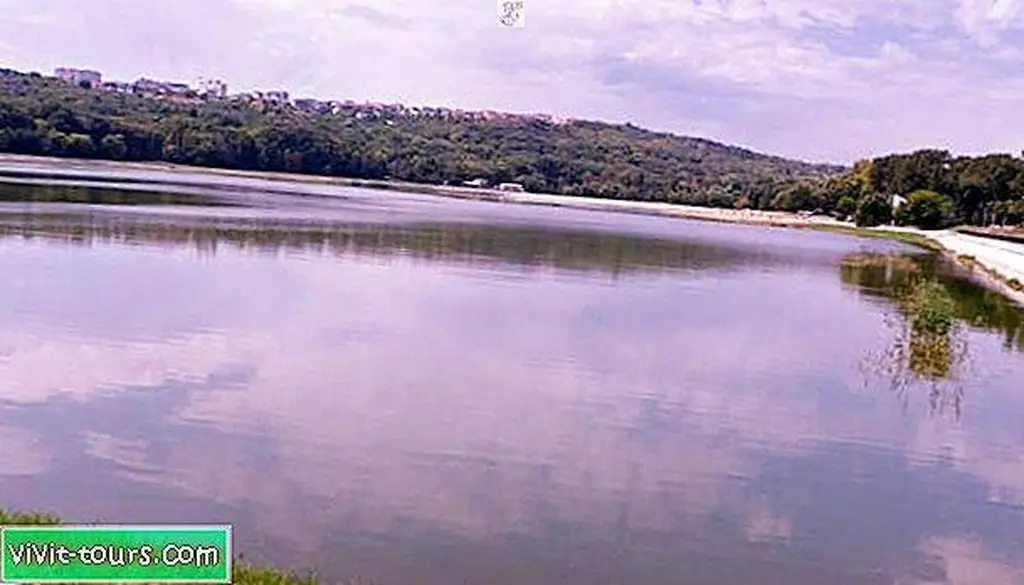 Image Image