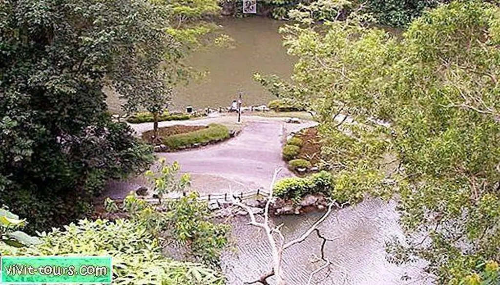 Image Image
