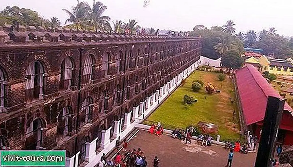 Image Image