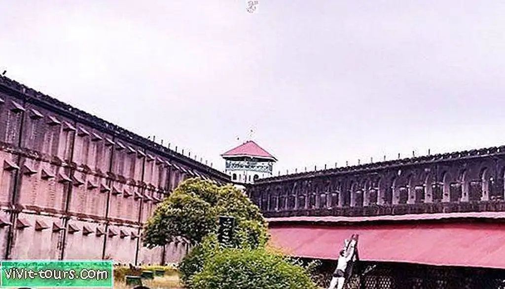 Image Image