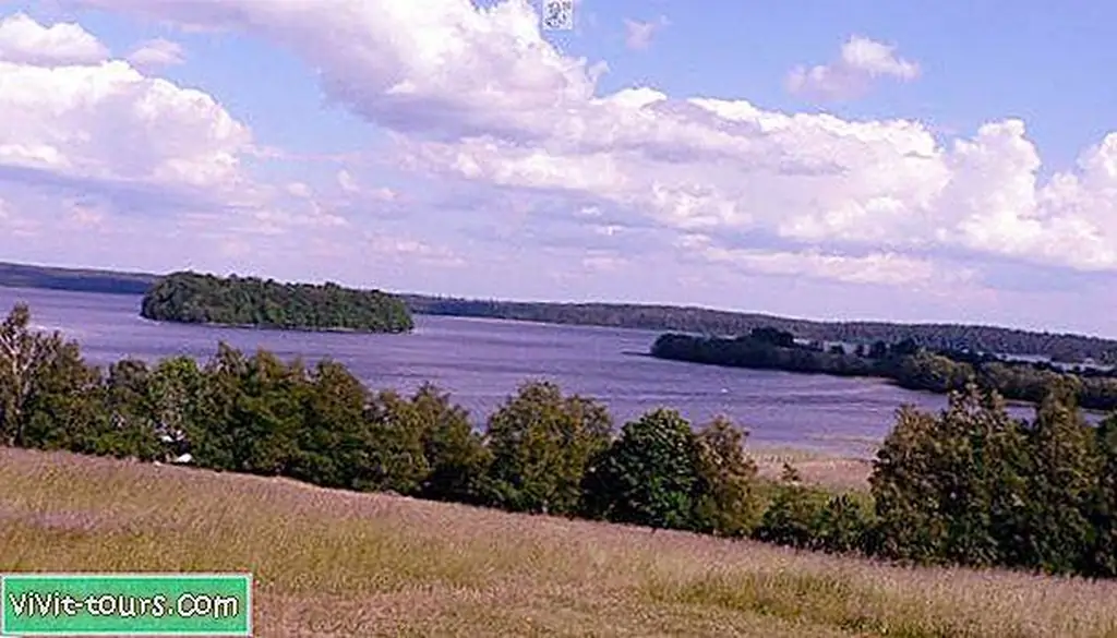 Image Image