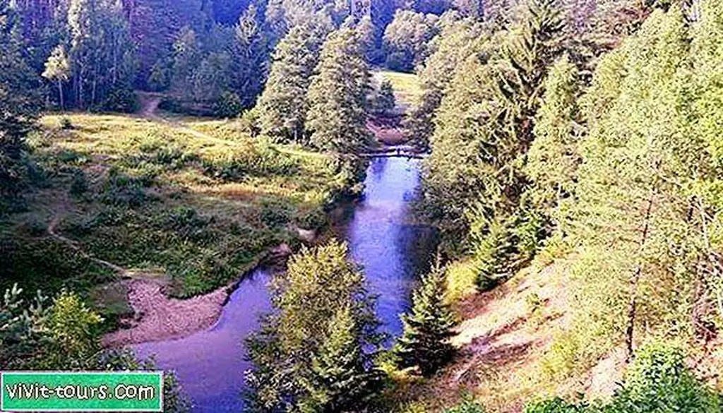 Image Image