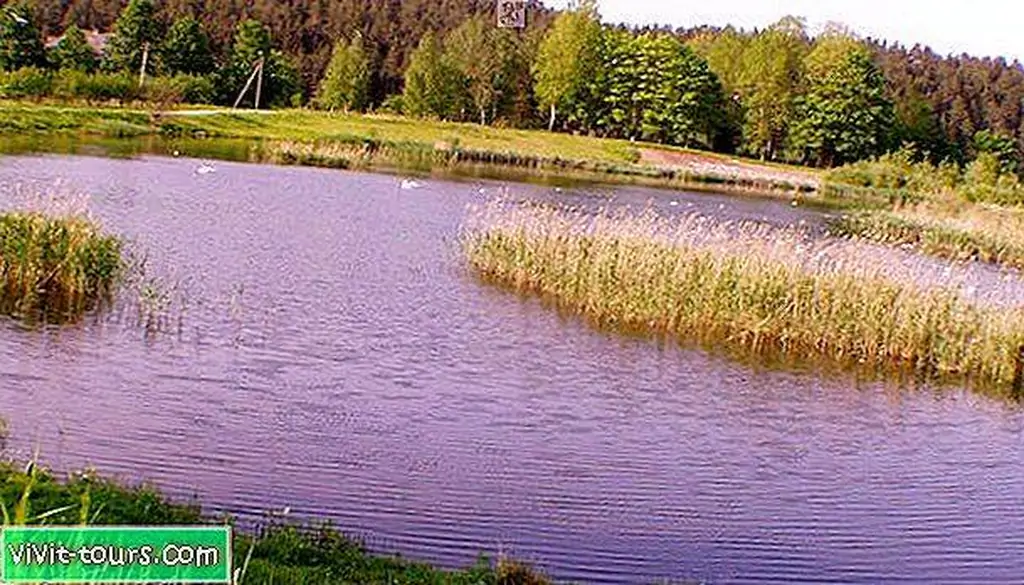 Image Image