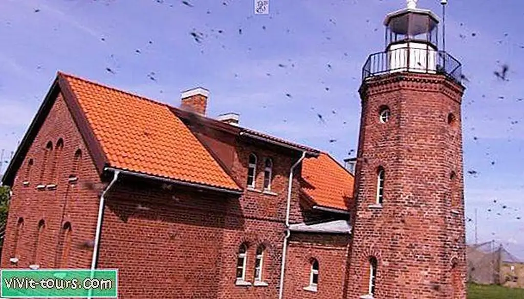 Image Image