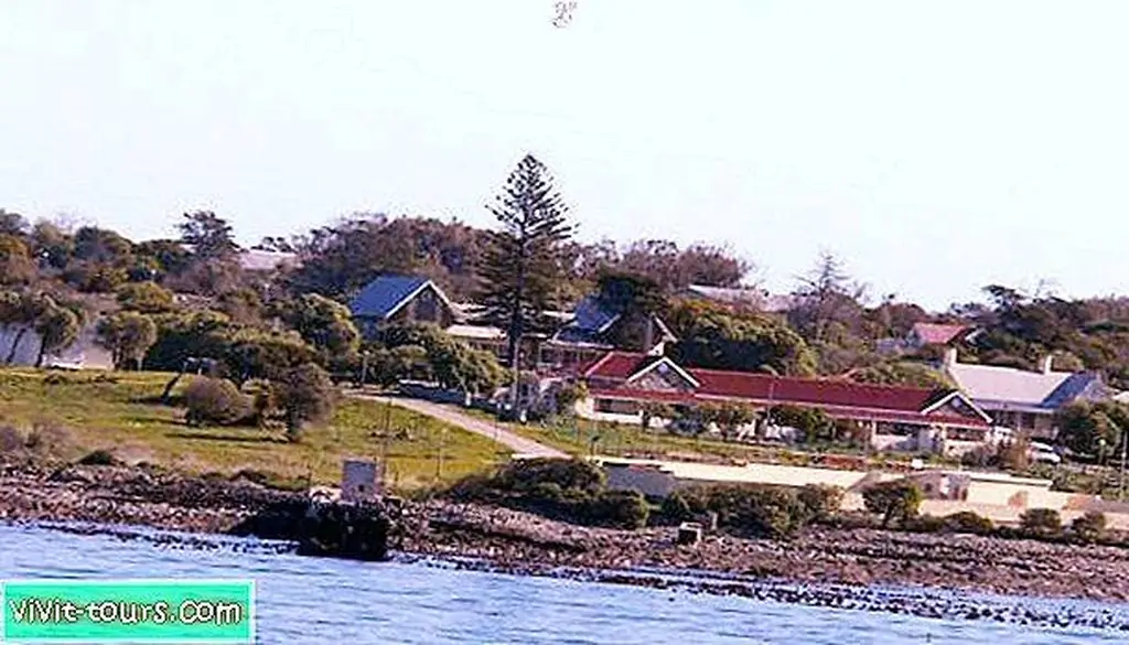 Image Image