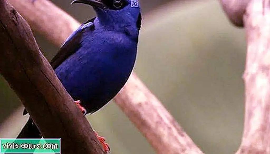 Image Image