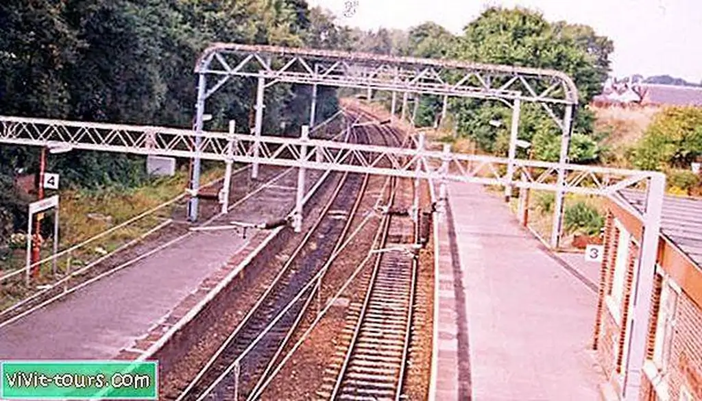 Image Image
