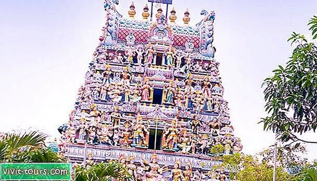 Image Image