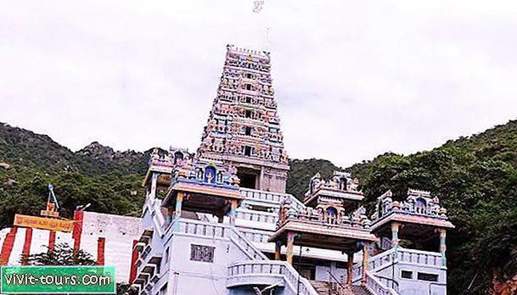 Image Image