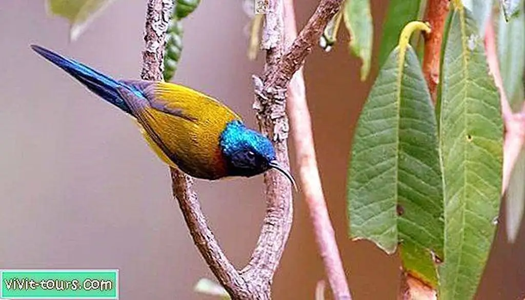 Image Image