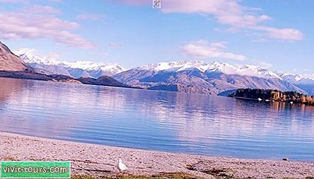 Image Image