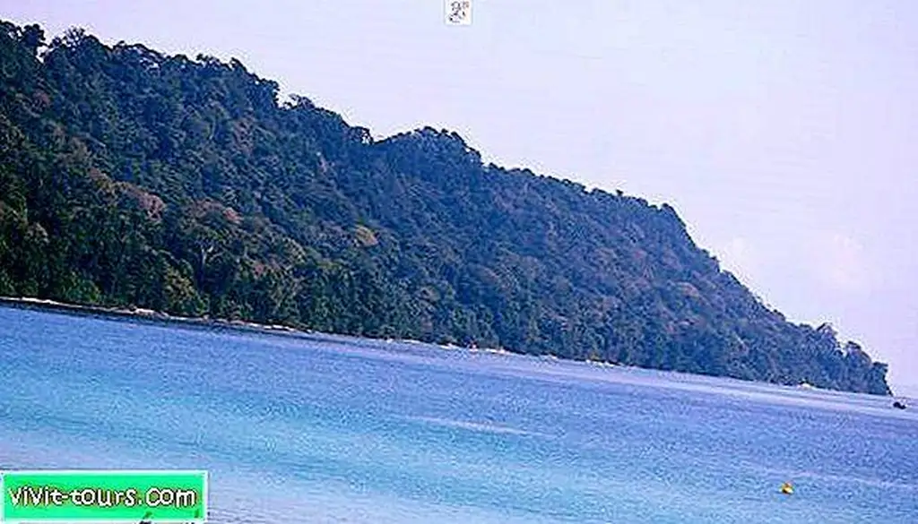 Image Image