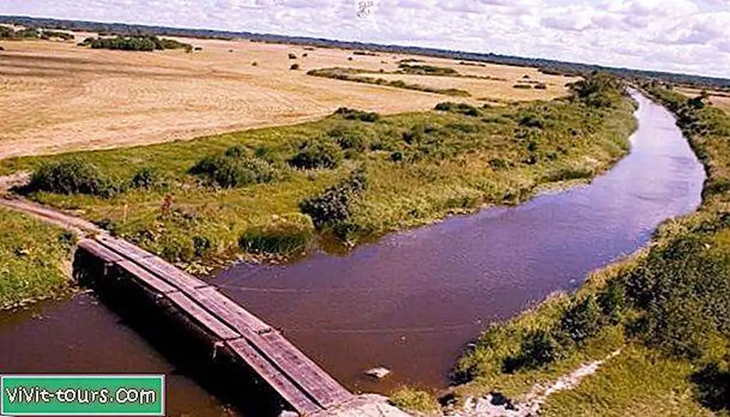 Image Image
