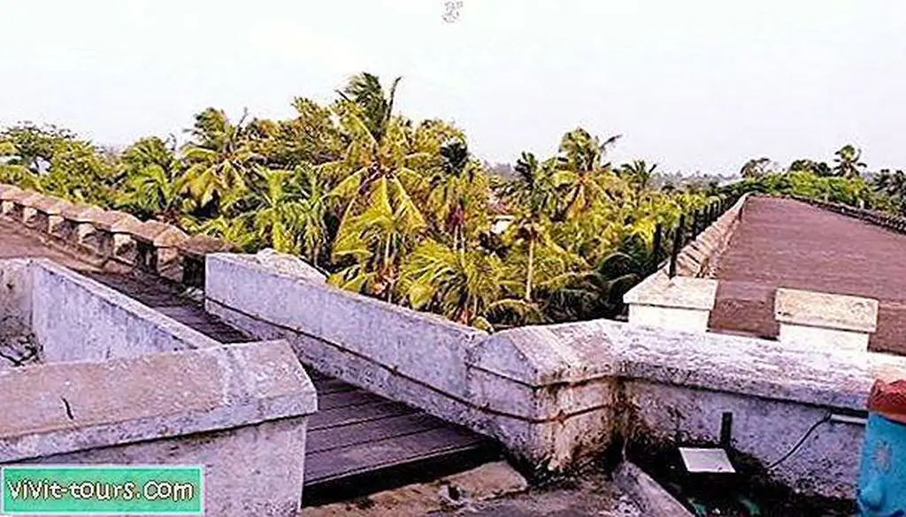 Image Image