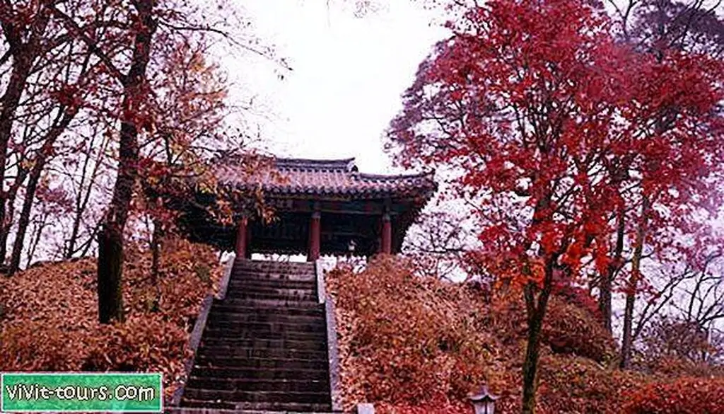 Image Image