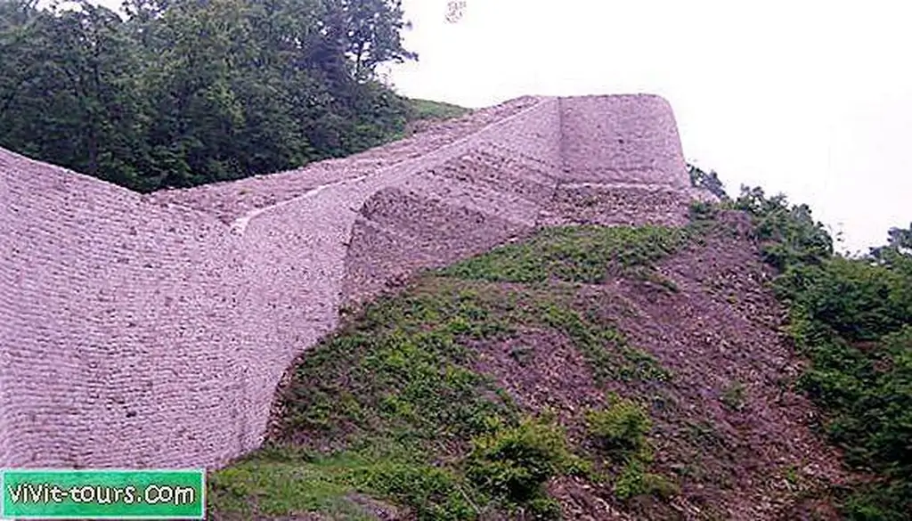 Image Image