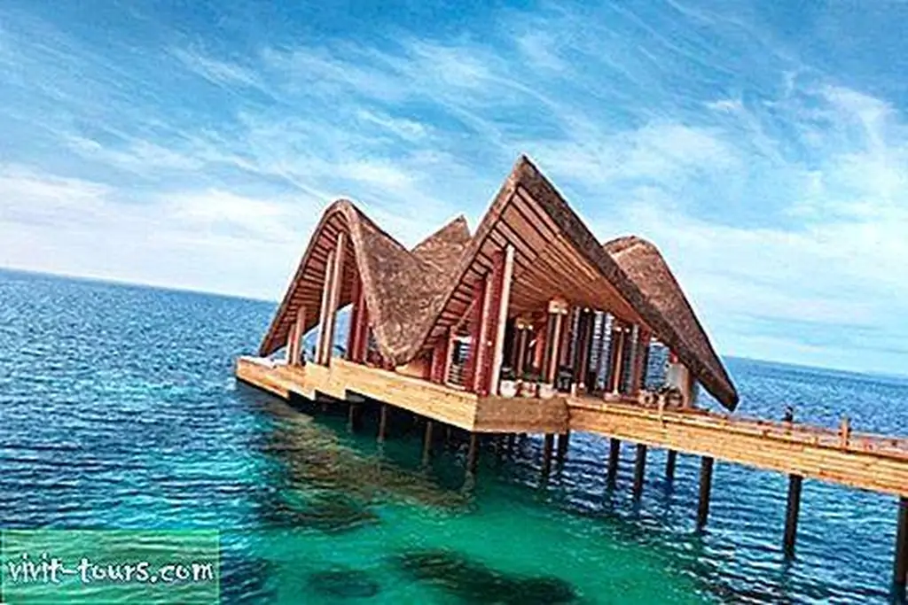 Image Image