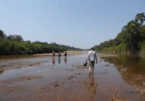 прогулки и походы на африканское сафари