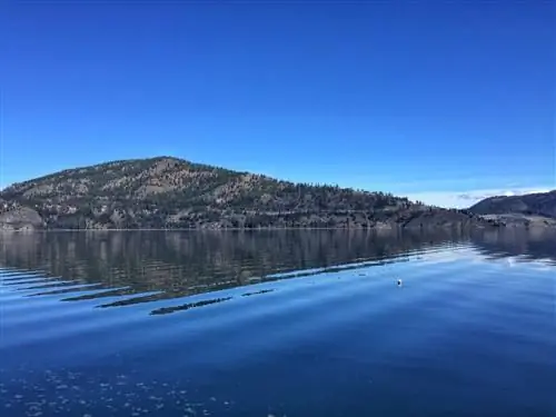 Обменяю город на туристический трейлер