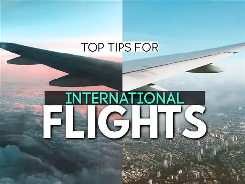 17 главных советов для длительных международных рейсов