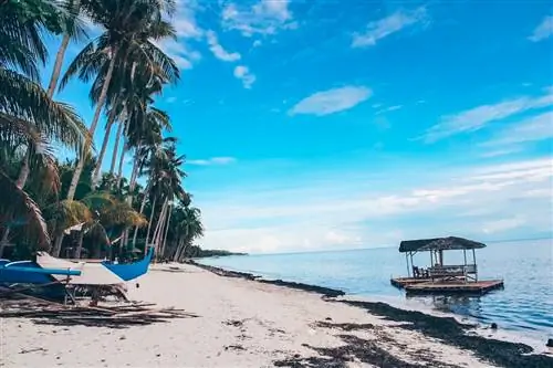 6 вещей, которые нужно знать перед посещением острова Сикихор