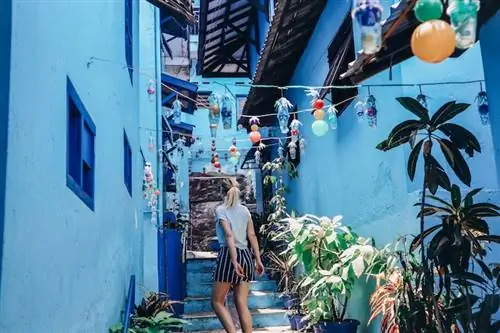 Кашли в Маланге, Ява