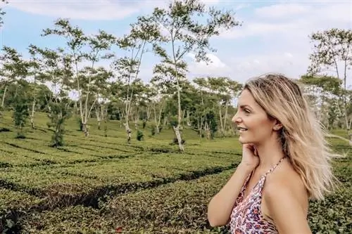 Кашли Кучеран Путешествие на полный рабочий день