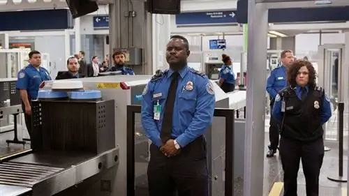 Агенты TSA