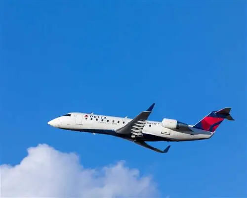 Пилота самолета Delta арестовали по подозрению в состоянии алкогольного опьянения прямо перед взлетом