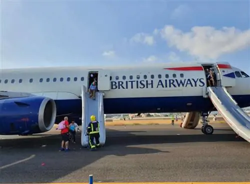 В самолете British Airways началась паника: салон наполнился дымом – ВИДЕО