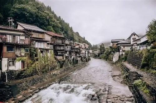 Гудзё Япония - Водный город Гудзё Япония - Водный город