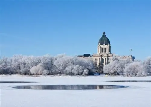 Регина летит прямо в Масатлан на самолете Sunwing.