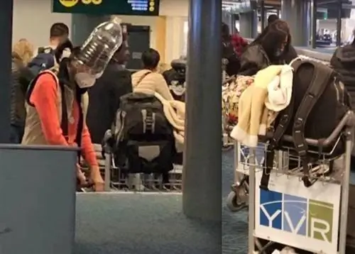 В Ванкувере люди надевают на голову кувшины с водой, чтобы заблокировать коронавирус