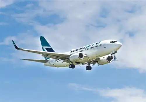 Розыгрыш, связанный с коронавирусом, вынудил самолет WestJet, направляющийся на Ямайку, вернуться в Канаду