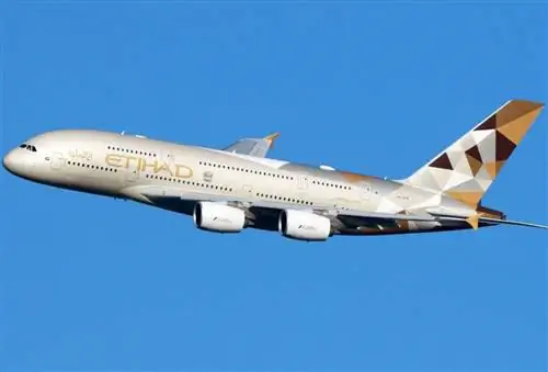 Атихад Эйрлайнз Нэни Сервис